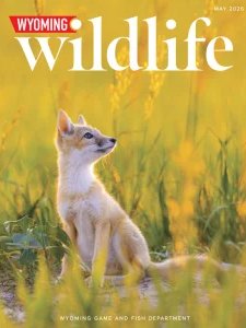 Wyoming Wildlife - 05.2026