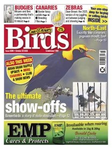 Cage & Aviary Birds - 22.10.2025