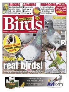 Cage & Aviary Birds - 7.01.2026