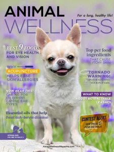 Animal Wellness - Spring 2026