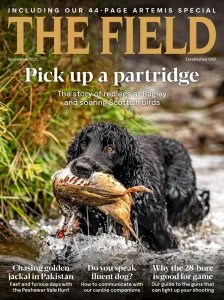 The Field - 09.2025