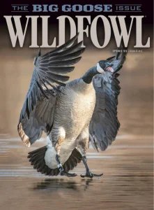 Wildfowl - 09.2026
