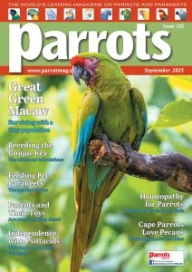 Parrots - 09.2025