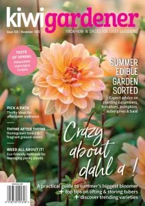 Kiwi Gardener - 11.2025