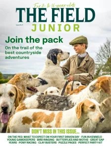 The Field Junior - Is. 4 2026