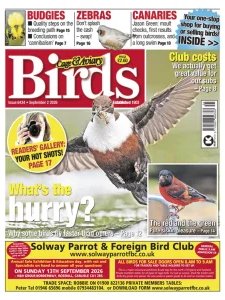 Cage & Aviary Birds - 2.09.2026