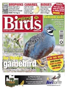 Cage & Aviary Birds - 8.04.2026