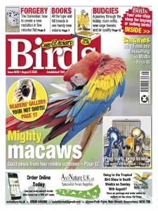 Cage & Aviary Birds - 5.08.2026