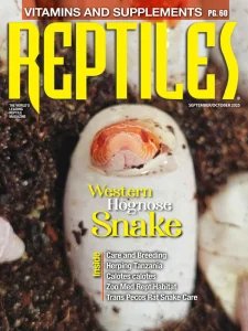 Reptiles - 09/10 2025