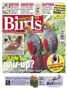 Cage & Aviary Birds - 1.10.2025