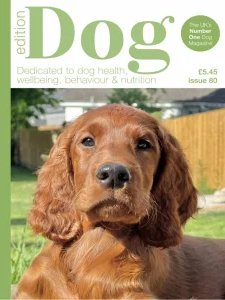Edition Dog - Is. 80 2025