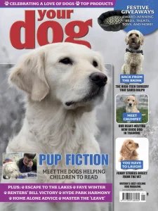 Your Dog - 01.2026