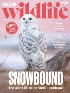 BBC Wildlife - 09.2026