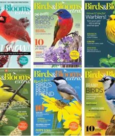 Birds & Blooms - 2018 Full Year Compilation