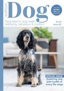 Edition Dog - Is. 82 2025