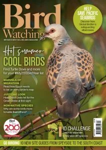 Bird Watching UK - 07.2025