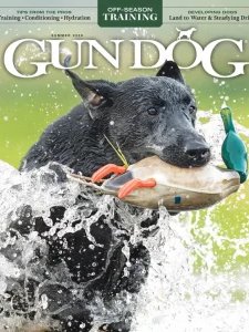 Gun Dog - Summer 2026