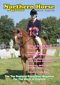 Northern Horse - 09.2025