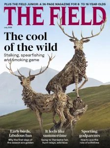 The Field - 07.2025
