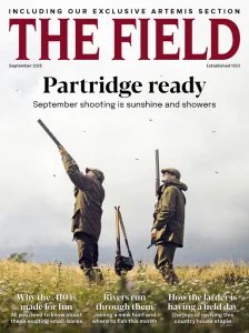 The Field - 09.2026