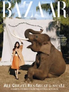 Harper's Bazaar SG - 02.2025