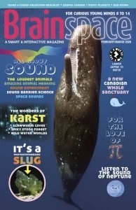 Brainspace - 02/03 2026