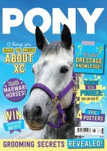 Pony - 08.2025