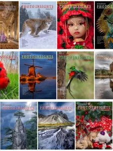 Photo Insights - 2024 Full Year Compilation