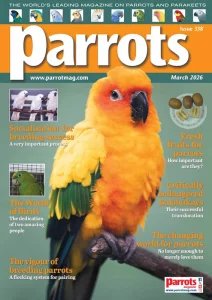 Parrots - 03.2026