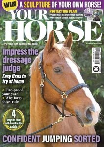 Your Horse - 06.2026