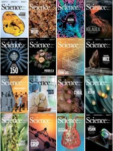 Science - 2019 Compilation
