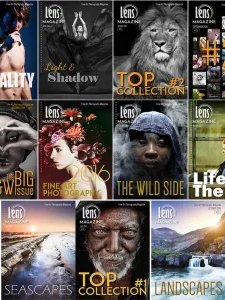Lens - 2016 Full Year