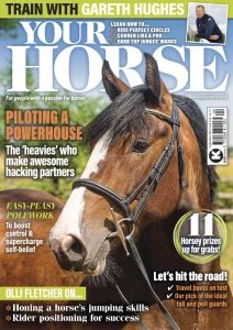 Your Horse - 09.2025