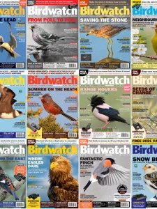 Birdwatch - 2021 Full Year