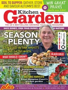 Kitchen Garden - 11.2025