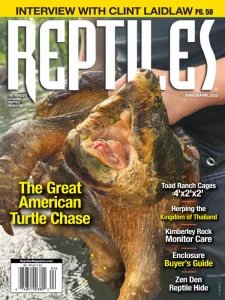 Reptiles - 03/04 2025