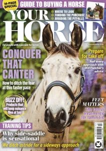 Your Horse - 07.2025