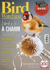 Bird Watching UK - 02.2026