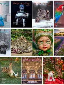 Photo Insights - 2019 Full Year