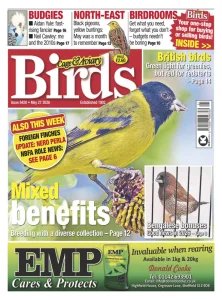 Cage & Aviary Birds - 27.05.2026