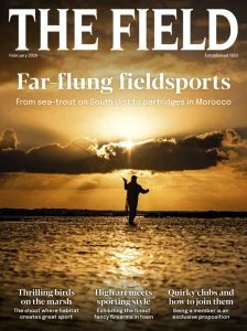 The Field - 02.2026