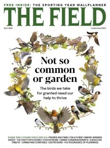 The Field - 04.2026