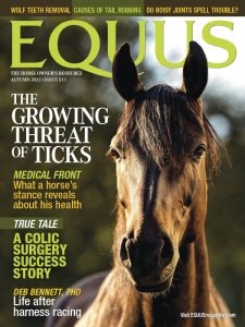 Equus - Autumn 2022