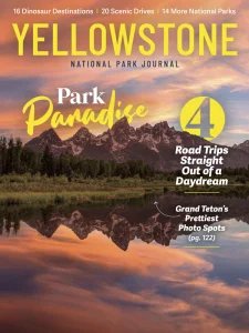 National Park Journal - Yellowstone 2026