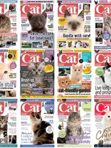 Your Cat - 2018 Full Year