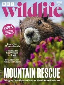 BBC Wildlife - 02.2026