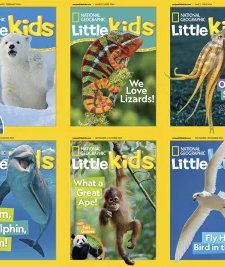 National Geographic Little Kids - 2024 Full Year