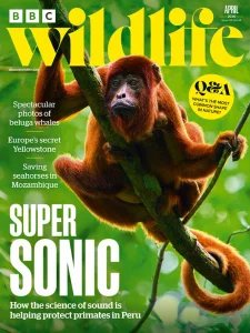 BBC Wildlife - 04.2026