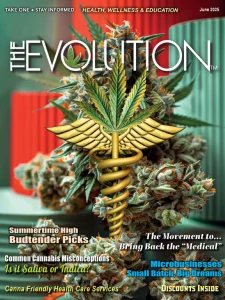 The Evolution - 06.2025