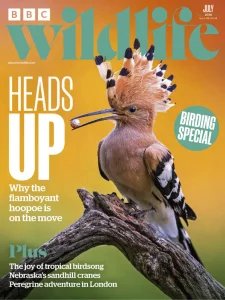 BBC Wildlife - 07.2026